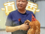 三德子赵亮匠心独运，打造德子土土鸡品牌，传承传统美食文化