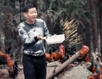 前央视主持人华丽转身，养鸡事业风生水起，揭秘转行背后的故事与挑战