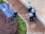 重庆一小区3人被杀害分尸？真相竟是…官方紧急辟谣！