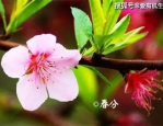 春分时节趣味盎然，探寻春分节气的传统习俗