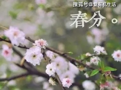 春分时节趣味盎然，探寻春分节气的传统习俗
