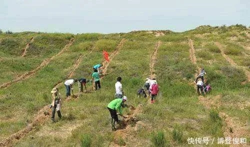 荒沙地变天然牧草地，农户未退耕获刑，生态修复与法治教育的双重启示