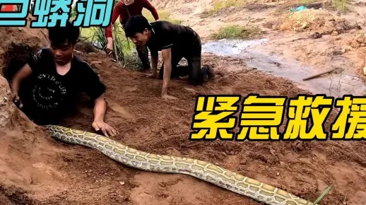 网友担忧失踪男孩遇蟒蛇，当地政府回应，全力搜救，确保安全
