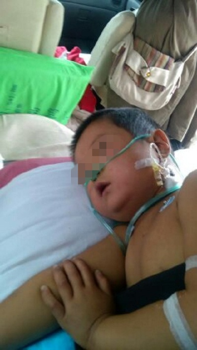 悲痛！4岁女童被蜜蜂蜇伤致死，爸爸哭诉，为何如此残忍？